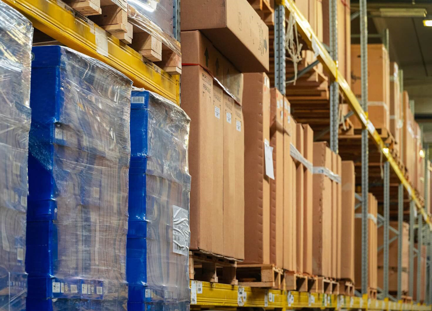 Elleci Service Sicurezza